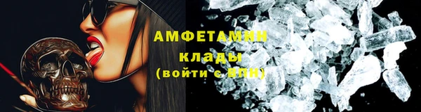 гидра Бородино