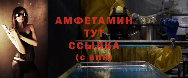 гидра Бородино