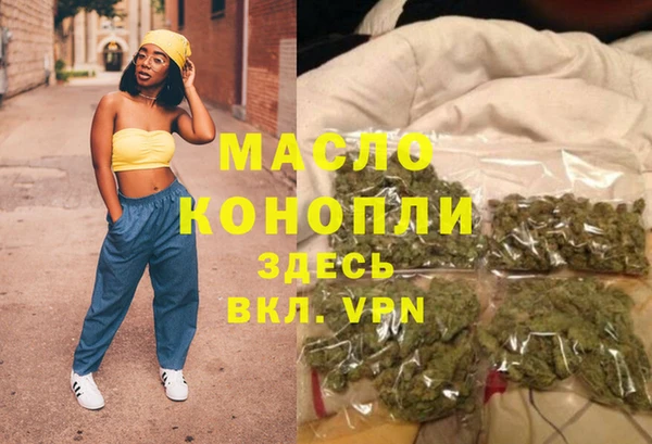 гидра Бородино