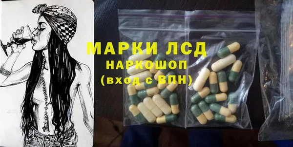 гидра Бородино