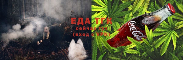 гидра Бородино