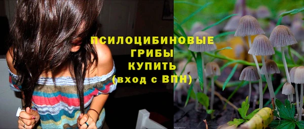 гидра Бородино