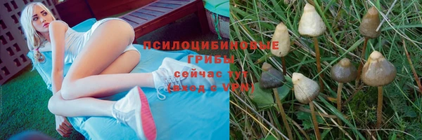 гидра Бородино