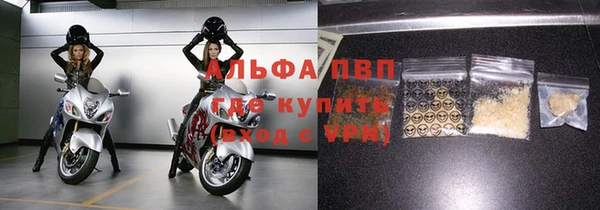 гидра Бородино