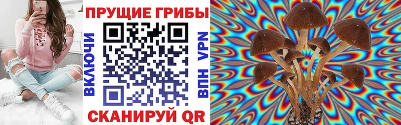 Галлюциногенные грибы MAGIC MUSHROOMS  Купить закладки  Балашов 